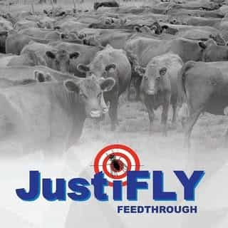 Champion Animal Health logo