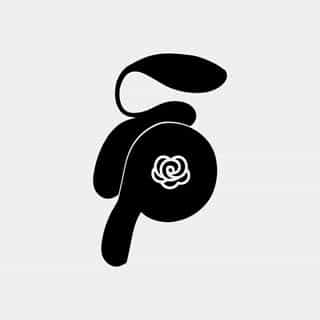 Finesse Picks logo