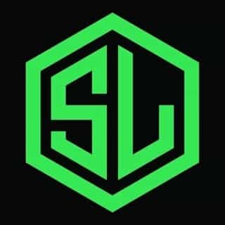 Skinlee logo