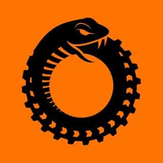 Ride or Die Tire logo