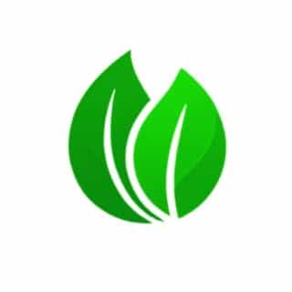 Vida Eficaz logo