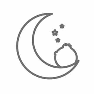 swing2sleep.com logo
