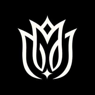 Plush Silver logo