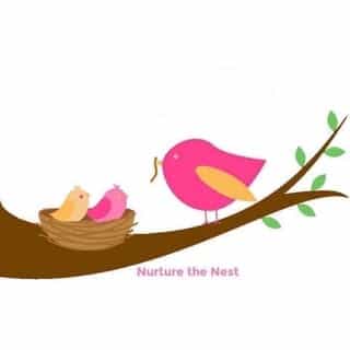 Nurture the Nest logo