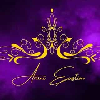 Arani Eustim logo