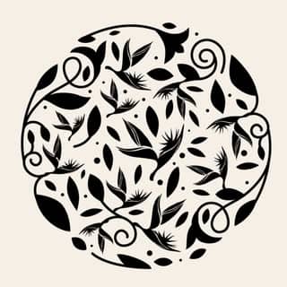 Parfums des Iles logo