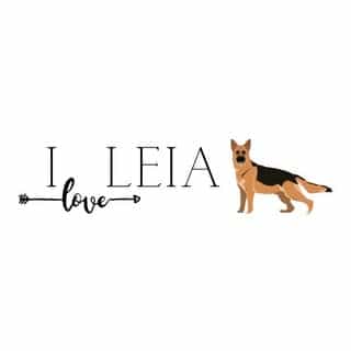 iloveleia.com logo