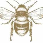 Alice Wheeler London logo