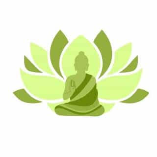 PranicSource logo