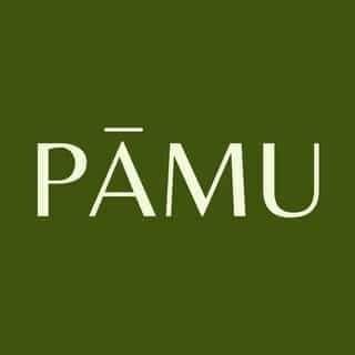 pamu.store logo