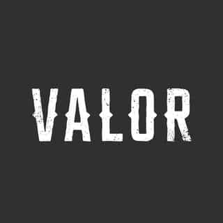 Valor Organics logo