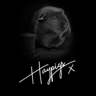 HAYPIGS logo