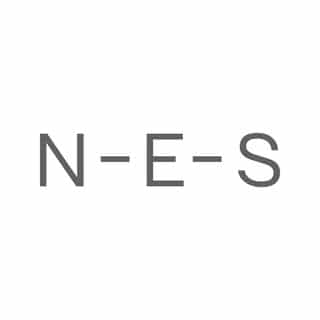 NES logo