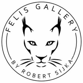 Felis Gallery by Robert Sijka logo