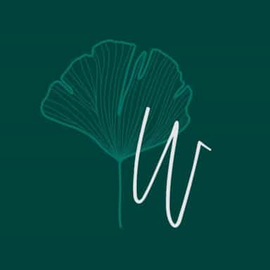 The Well Clothing Boutique logo