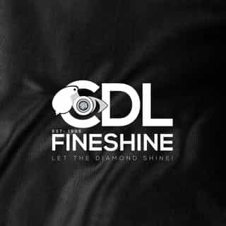 CDL FINESHINE PRIVATE LIMITED logo