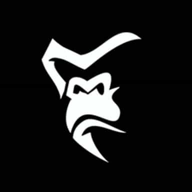 Silverback Gymwear logo