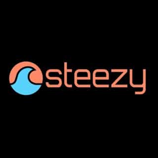 steezy logo