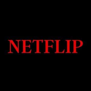 NetFlip logo
