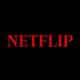 NetFlip logo