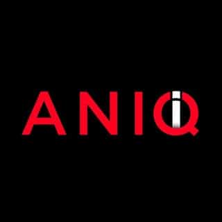 ANIQI logo
