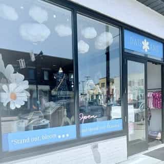 Daisy Lane Kids Boutique logo