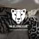 wildridecouk logo