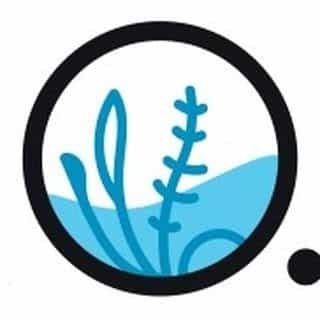 Charterhouse Aquatics logo