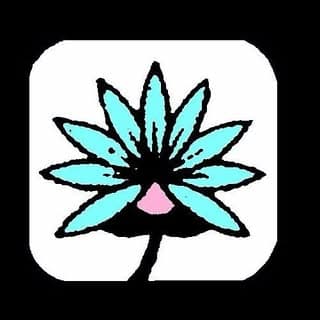 Lilylin Designs logo