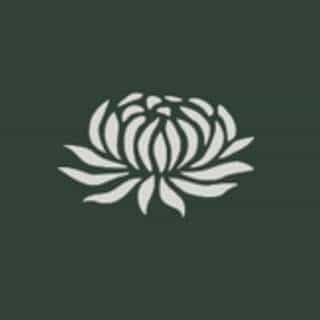 Rachana Reddy logo