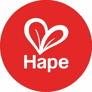 HapeToys logo