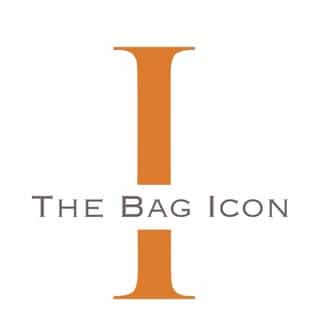 thebagicon logo