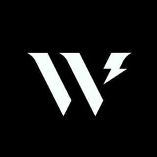 wearethewildco logo