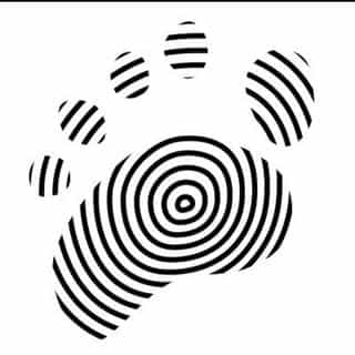 Dance Paws logo