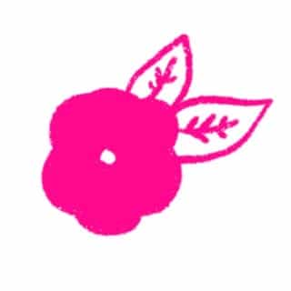 Mexico In My Pocket logo