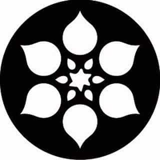 Alevon logo