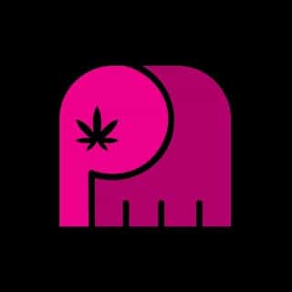 The Pink Elephant logo