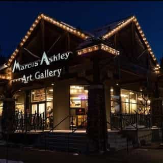 Marcus Ashley Gallery logo