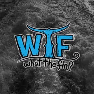 What the Fin Apparel logo