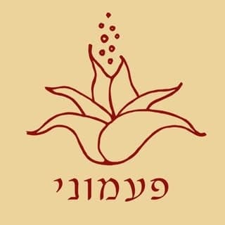 פעמוני מותססים וחמוצים logo