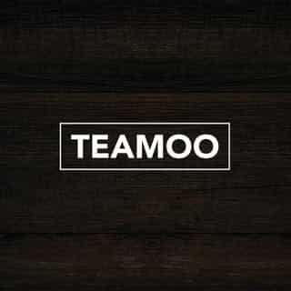 TEAMOO logo