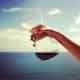 Chemex Coffeemakers & Filters logo
