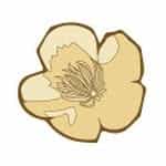Athens Parent Wellbeing + ReBlossom Parent & Child Shop logo