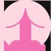 STS logo