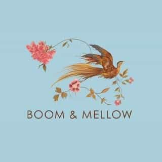 BOOM AND MELLOW logo