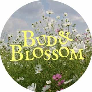 Bud & Blossom Slings logo