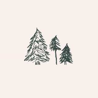Petit Nordique Boutique logo