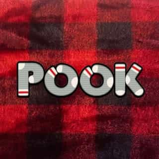 Pook logo