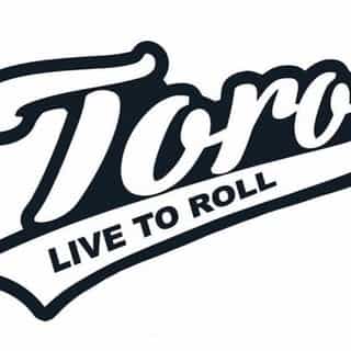 Toro BJJ & Cageside logo