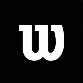 The Wilson Team logo